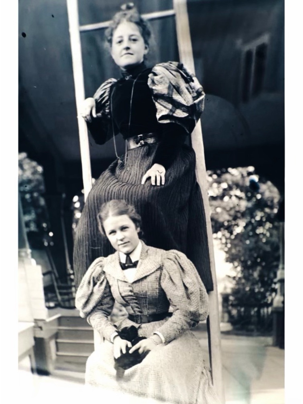 Antique Glass Plate Negative Women Ladder Outdoors Victorian NY 1800s / 1900s